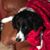 Kathleen Mink Lo Sasso's profile image