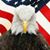 Brian Crow's profile image