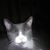 Sharon Teems's profile image