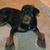 William Heather Furterer's profile image