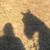 Lori Bright-Pryor's profile image