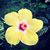 Kerri Lanum's profile image