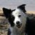 Becky Ripke's profile image