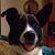 Lesley Maloney Cole's profile image