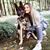 Leigha Radcliffe's profile image