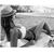 Anya Zinina's profile image