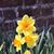 Linda Roberts's profile image