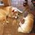 Anne Cleary Risch's profile image