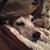 Dee Scharff-Popielak's profile image