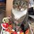 Betty Ann Beam's profile image