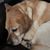 Trish Winslow Vrdolyak's profile image