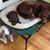 Cindy McLellan Meaux's profile image