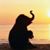 Trisha Lairmore Branigh's profile image