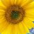 Lora Smith's profile image