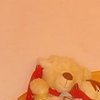 Alexis R.'s profile image