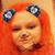 Jenifer Brownlee Johnson's profile image