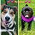 Mindy Sammon's profile image