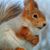 Rhiannon Martz's profile image