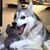 Pants von Pantsington's profile image