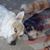 Rocky Maggie Berube's profile image