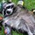 Jasper Menkis's profile image