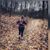 Susan Schafer's profile image
