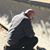 Paul Philipps's profile image
