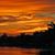 Richard D J Stephens's profile image