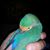 Michael Moretsky's profile image