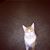 Kimberly Wilkerson's profile image