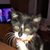 David Erruz Juncy's profile image