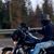 Steve Creech's profile image