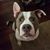 April Urick's profile image