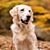 Michelle Rositch's profile image