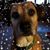 Glynnis G Boyles's profile image
