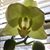 Kate Shanks's profile image