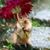 Debbie Lay Stewart's profile image