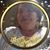 Amy Harris's profile image