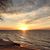 Marsha Hogerheide's profile image