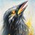 Gina Labrecque's profile image