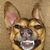 Brigett Dewald's profile image
