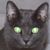 Nancy Camp's profile image
