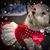 Beverly Conklin's profile image