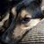 Kimberly A. Richert's profile image