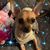 Gloria Gonzales's profile image