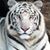 Roy Hoff Sr's profile image
