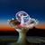 Greg Schafer's profile image