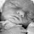 Ryan Shafer's profile image