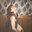 Amy Ferrara's profile image