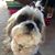 Connie Nicolaides Grande's profile image
